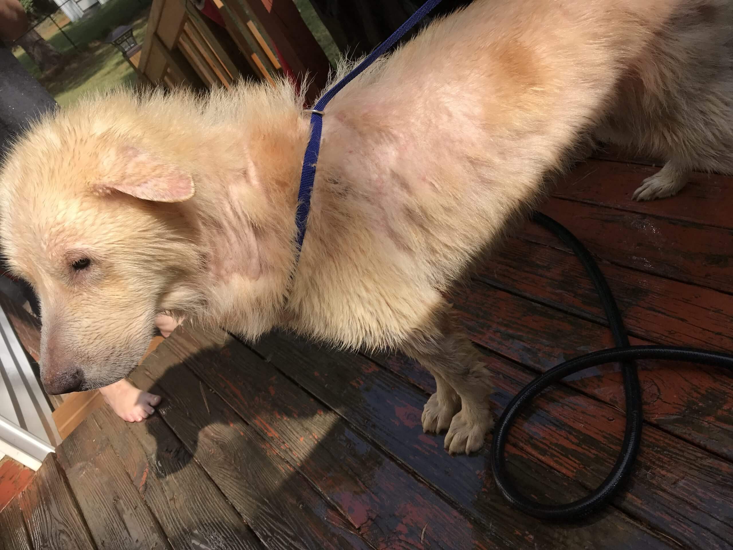 After-Bath-2