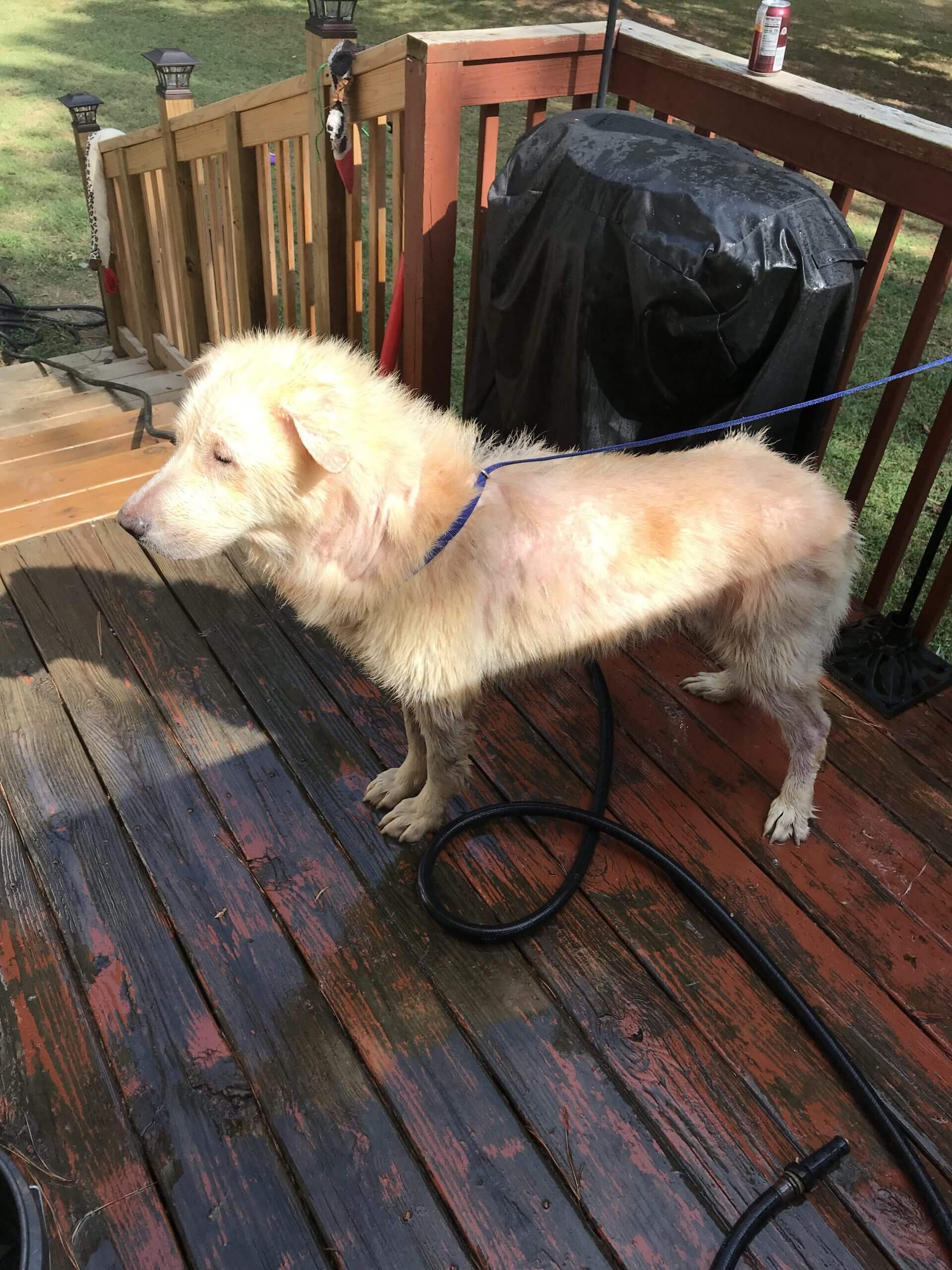 After-Bath